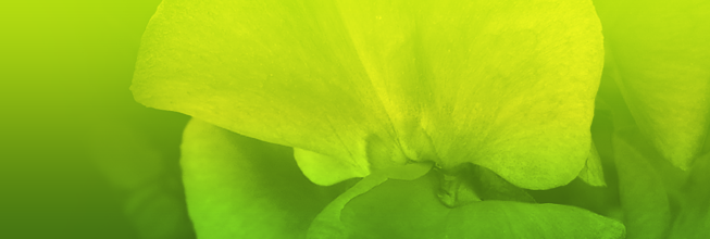 稳定供货渠道的网络ddos攻击软件